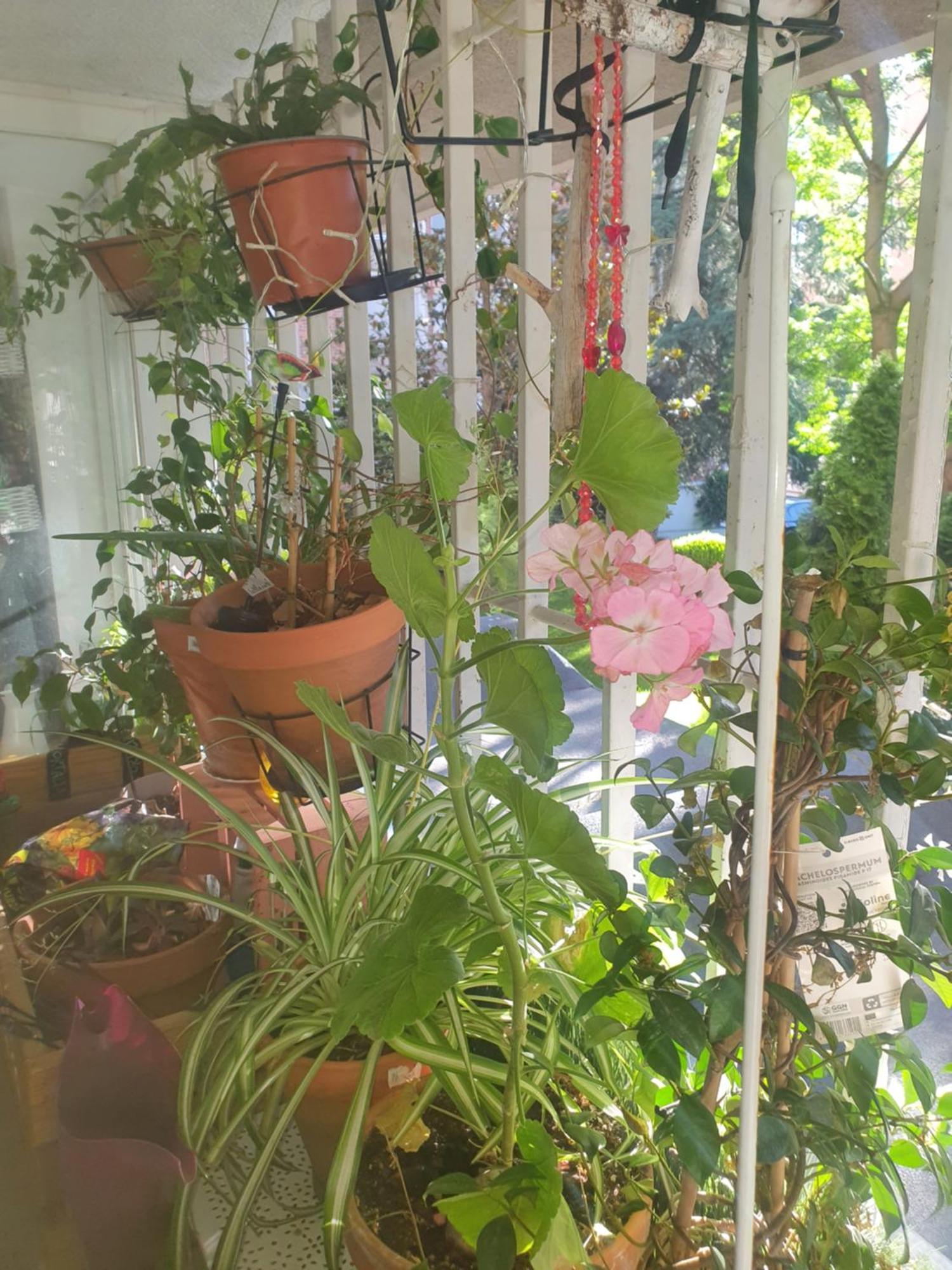 Apartmán Libros Y Plantas A 5 Minutos Del Centro En Bus Madrid Exteriér fotografie